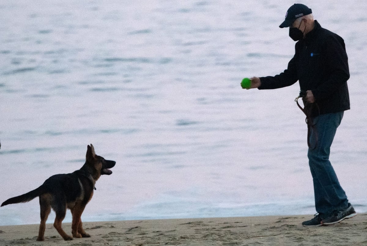 El perro del presidente Biden mordió a agentes del Servicio Secreto por lo menos 10 veces