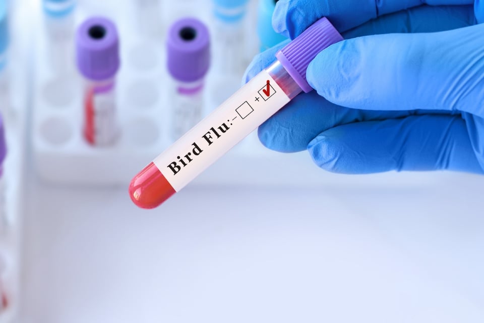 síntomas, inflamación ocular, medidas preventivas, respuesta rápida, investigación médica, MundoNOW