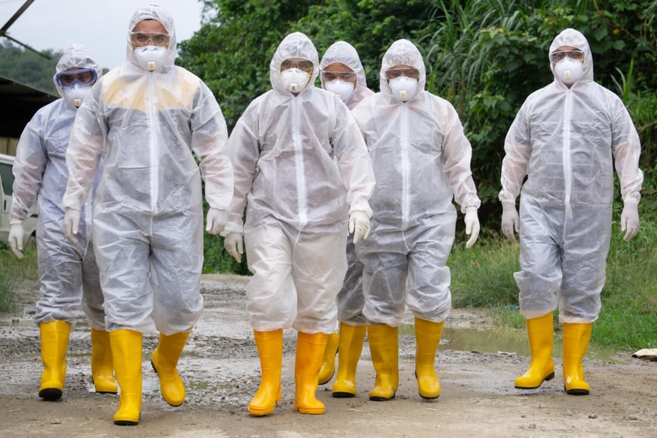 transmisión de enfermedades, virus, pandemia, trabajadores agrícolas, MundoNOW