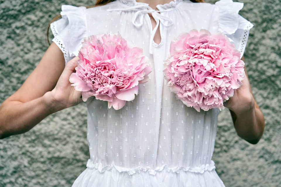 Cáncer de mama, mes de concientización, arte, concepto, flores rosas