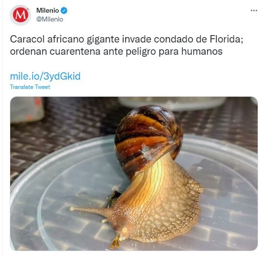 Advierten que a residentes que no deben tocar al animal