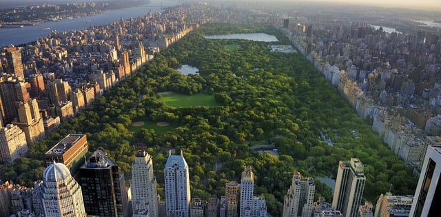 Reportan múltiples incendios en Central Park
