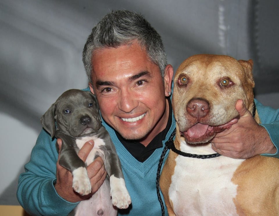5 things you didn’t know about Cesar Millan, ‘the dog whisperer’
