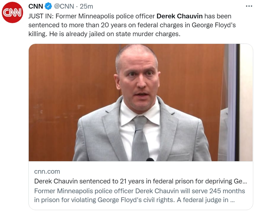 Derek Chauvin George Floyd