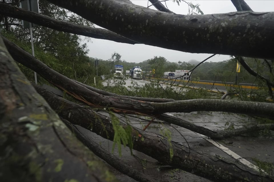 Affected, Mexico, fallen tree, blocked roads, celebrities, MundoNOW