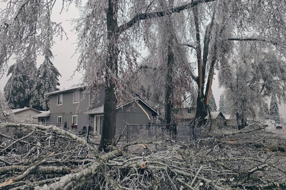 Aumenta el número de muertos reportados por tormenta invernal en EEUU