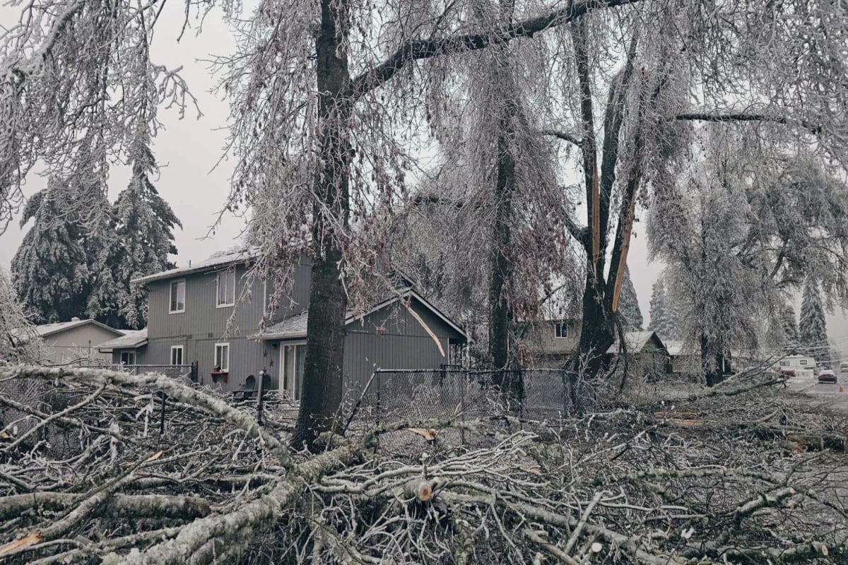 Tormenta invernal 40 muertes, nieve, Oregon, Nueva York, MundoNOW