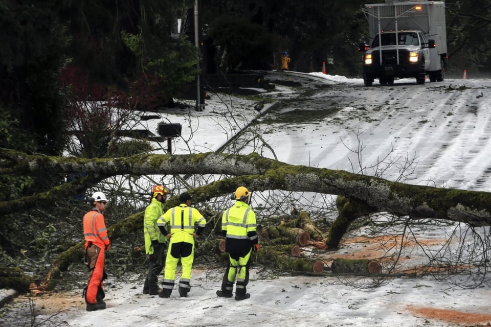 Emergencia, accidentes, fallecidos Oregon, MundoNOW