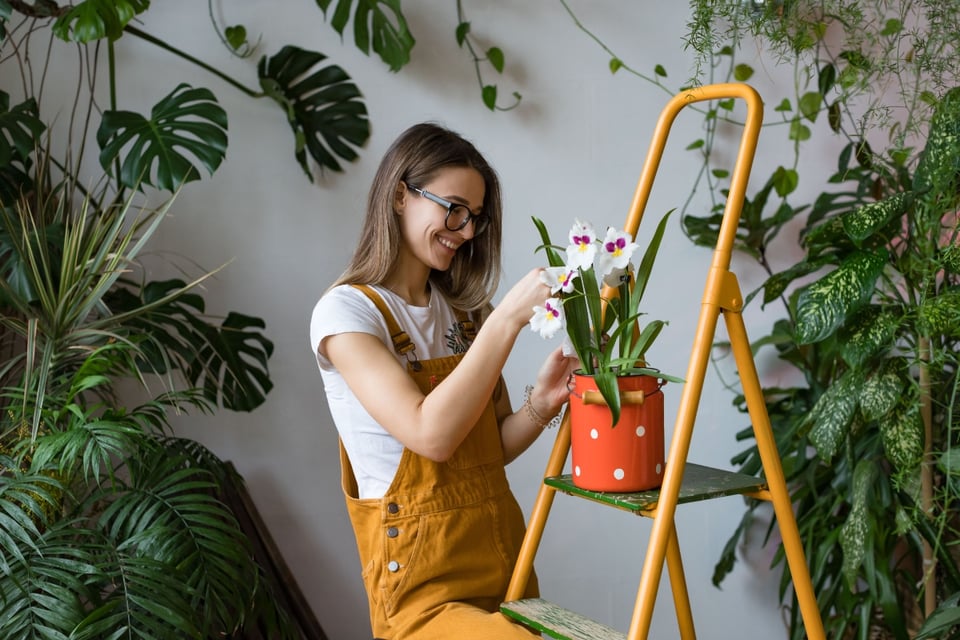 plants, grills, home, discounts, MundoNOW