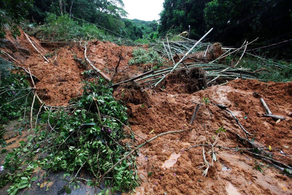 luto nacional, comunidad, cicatrices, naturaleza, mundonow