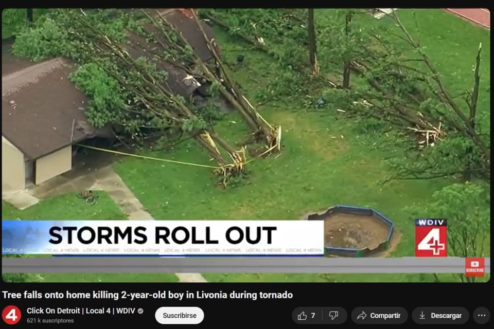 Falling trees, Death toll, baby, house, Deadly Toll from Storms in Detroit
