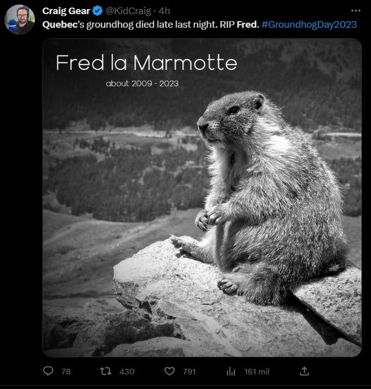 Murió Fred, la marmota que predecía el fin del frío en Quebec