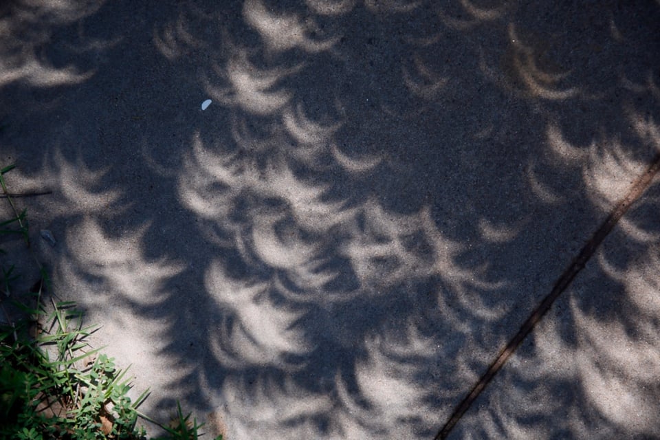 astronomers, enthusiasts, wait, solar corona, mundonow