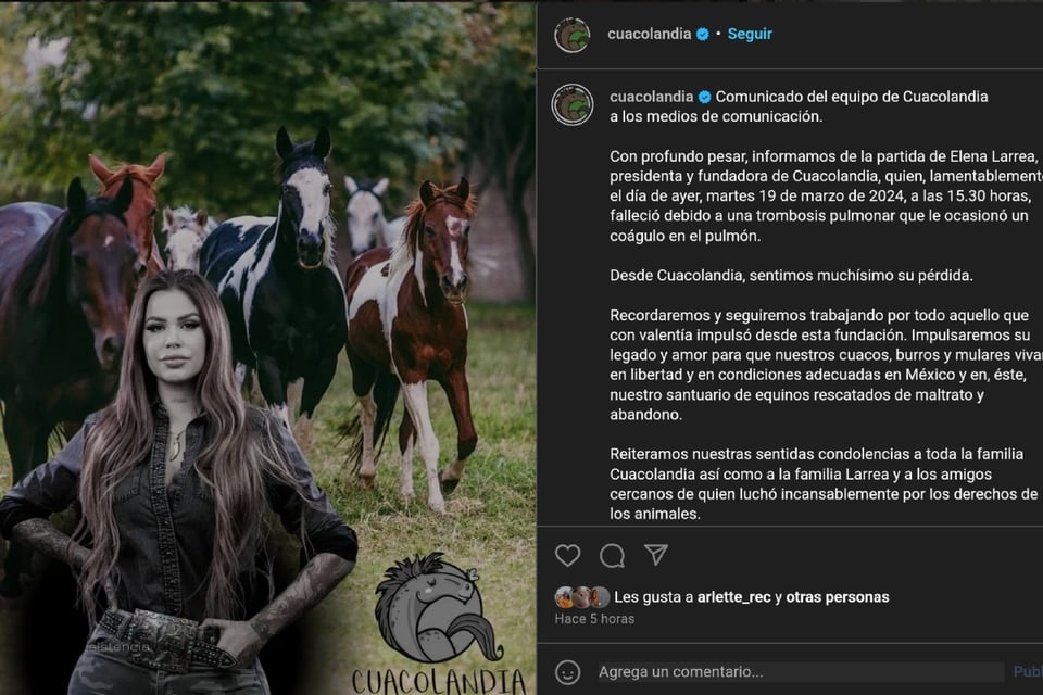 Muere Elena Larrea, Cuacolandia, activista, muerte, MundoNOW