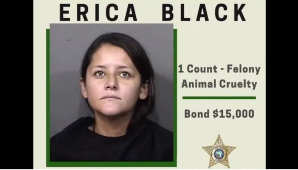 Erica Black drowned her chihuahua in the pool and live-streamed the body