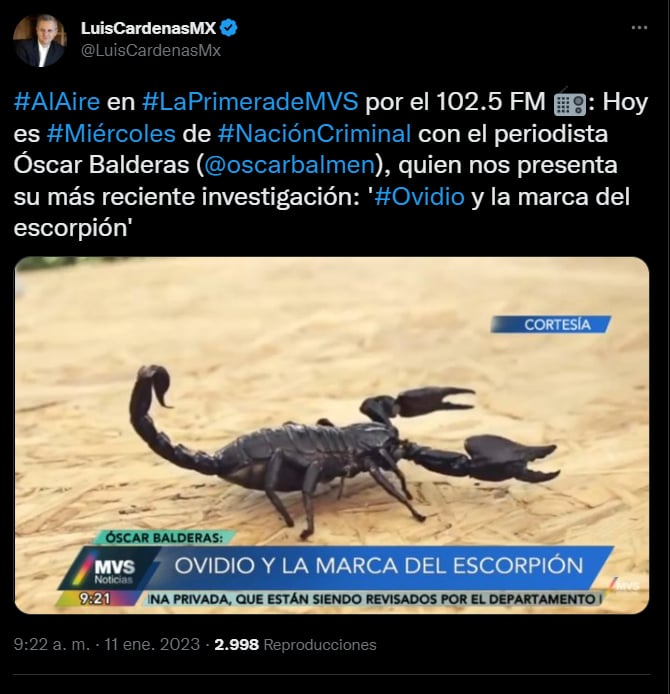 Descubren un escorpión en la casa de Ovidio Guzmán
