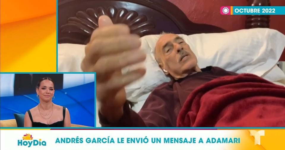 Adamari López cries with the message that Andrés García left her