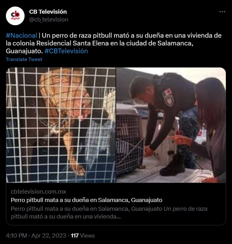 La mujer recibió múltiples mordidas en el cuerpo, una en el cuello