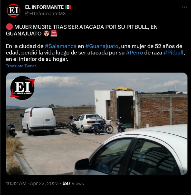 Mujer muere tras ser mordida por un perro pitbull en Guanajuato