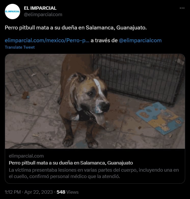 La policía tomó posesión del pitbull