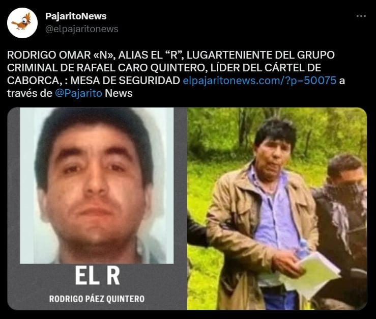 Detienen a "El R", la Interpol se ve envuelta en el arresto