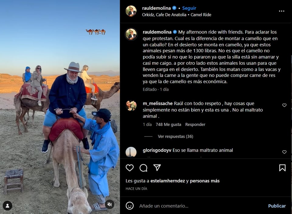 Raúl asegura que no hubo ningún problema con el camello