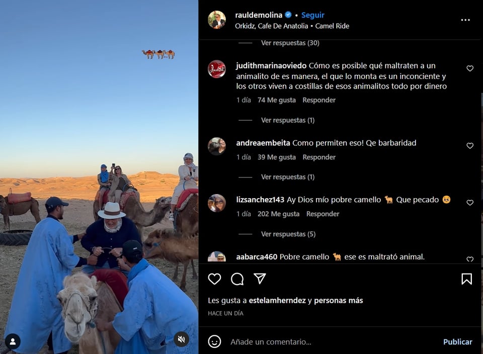 Usuarios tunden en comentarios a Raúl