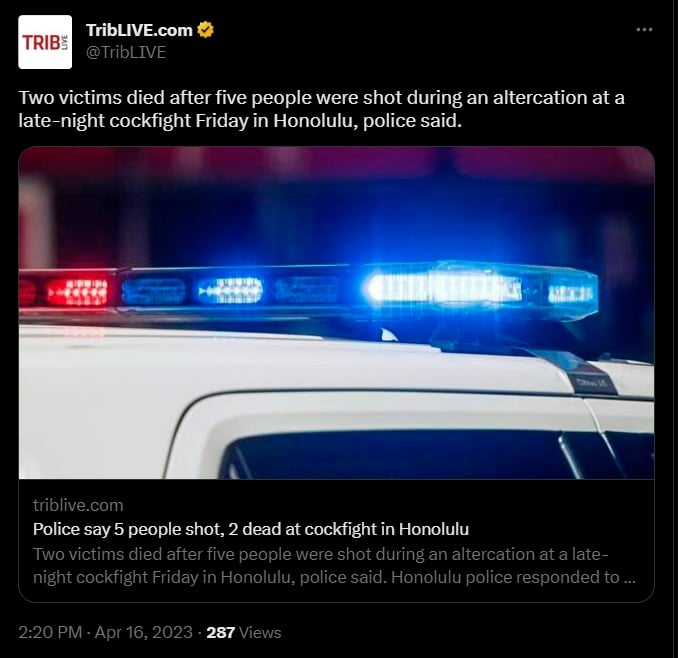 Se desconocen las razones del tiroteo