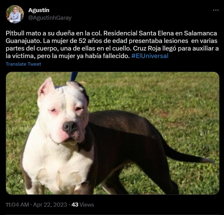 La mujer muere tras ser mordida por el pitbull, su familia reportó la situación