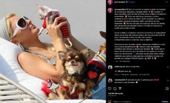 Paris Hilton anuncia que muere su "leal amiga", "Ella era más que una mascota"