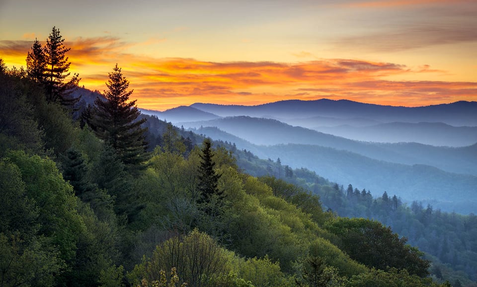 Great Smoky Mountains National Park, fall