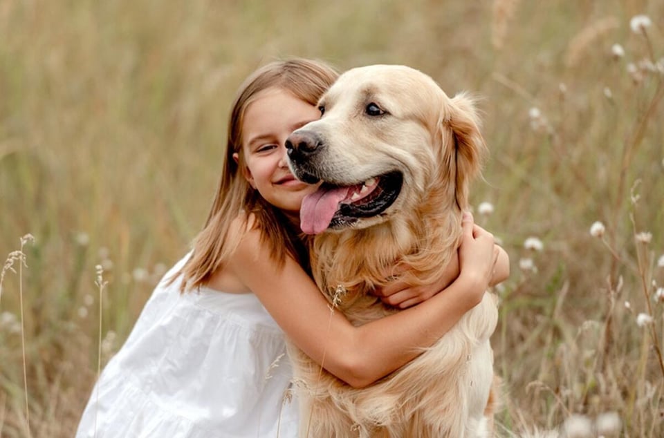 girl, Golden retriever, dog, pets, food