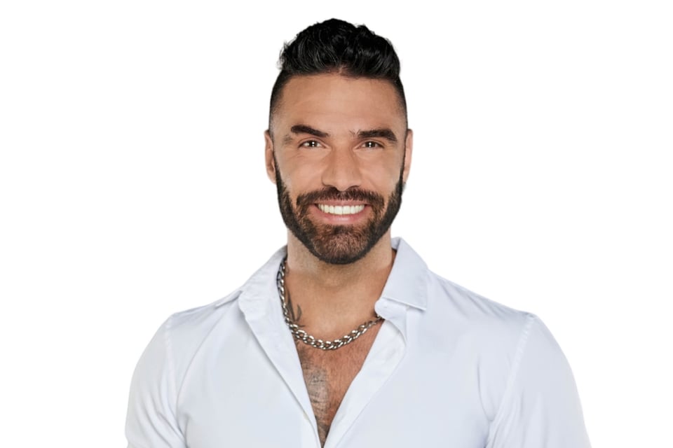 alliances, strategies, the Lion, model, athlete