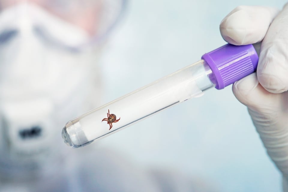 vigilancia epidemiológica, salud pública, enfermedades infecciosas, reporte de casos