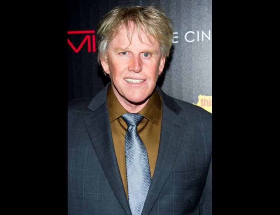 Actor Gary Busey es acusado de delitos sexuales en plena feria de fans