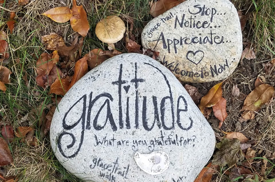 beneficios de la gratitud, Gratitud, agradecido, rocas, refranes, MundoNOW