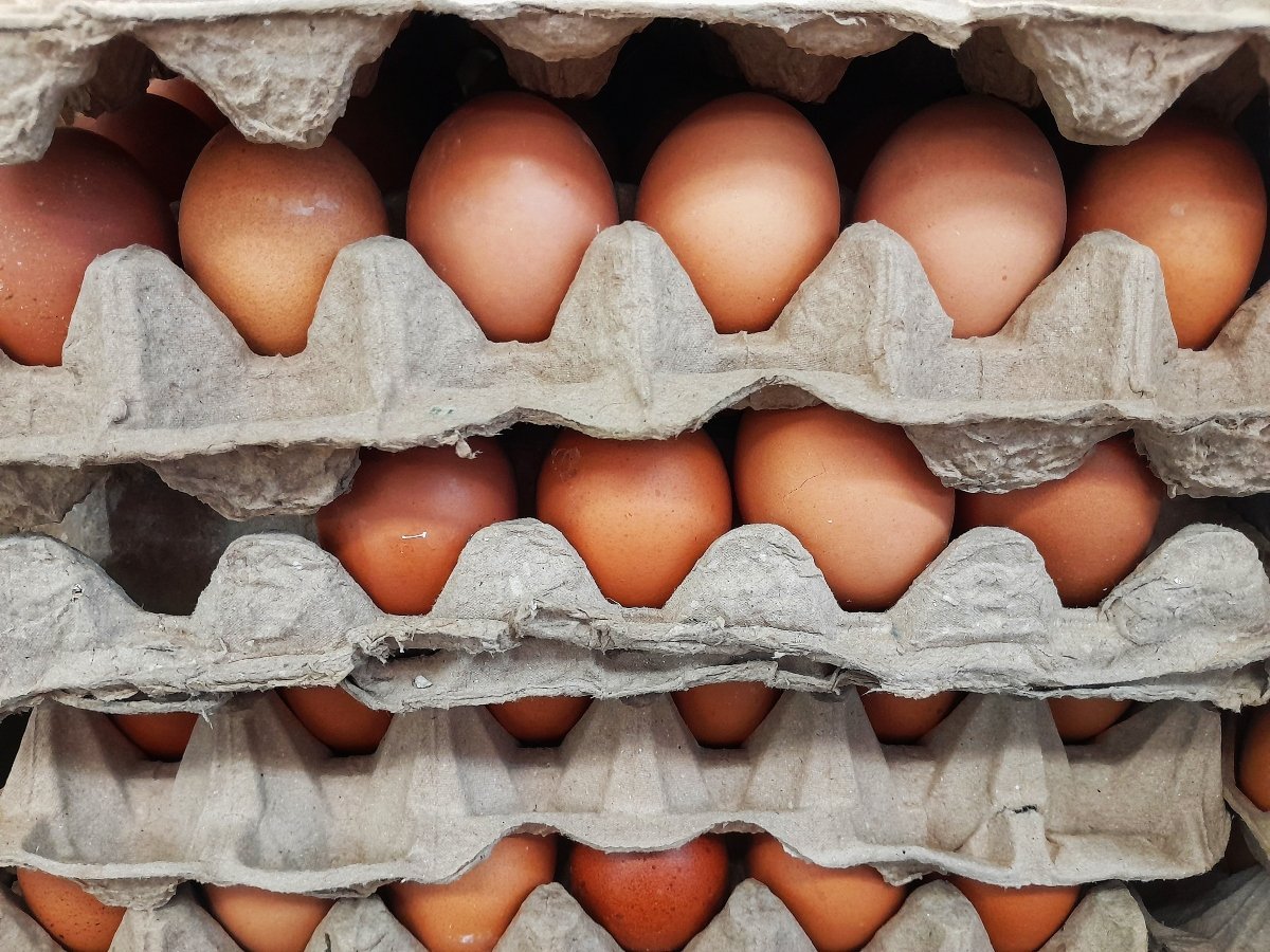 Egg product recalled from one of the largest US suppliers