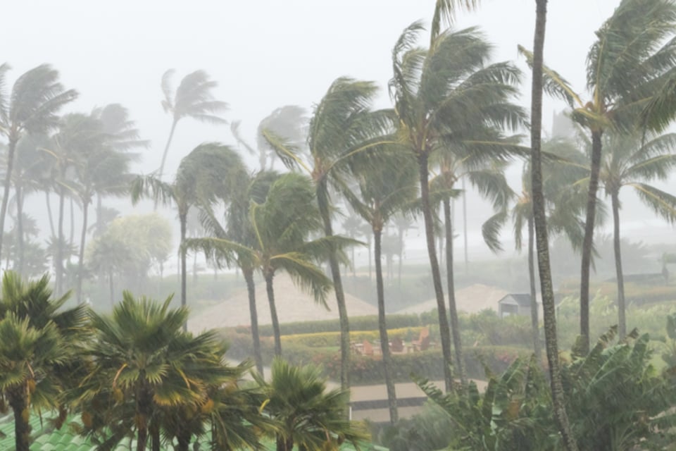 Nivel 5, Alerta, Riesgo, Población, Tormenta Tropical, Gobierno