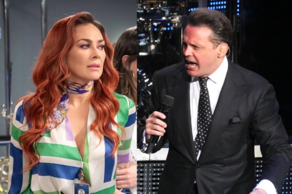 Luis Miguel would have already paid Aracely Arámbula the pension for her children