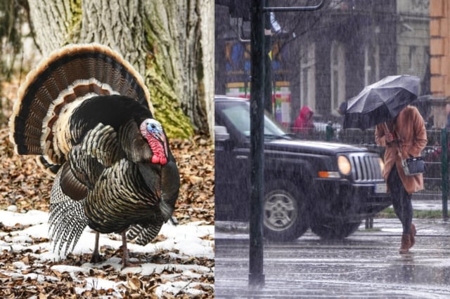 Severe weather could threaten Thanksgiving travel
