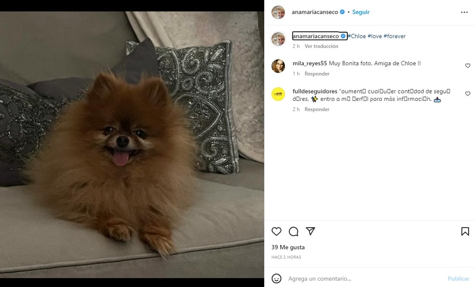 Ana María Canseco luto: Despiden a Chloe