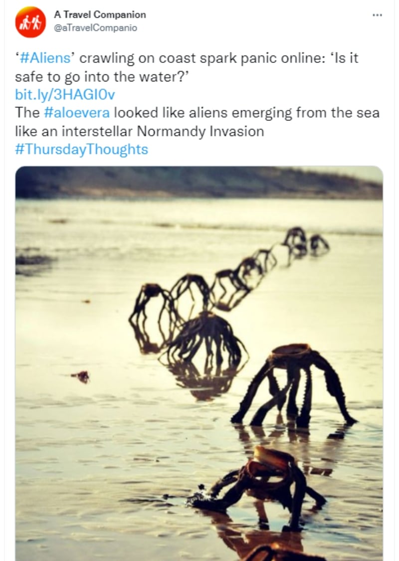 Extraterrestres aparecen playa: “Mucha gente tenía miedo"
