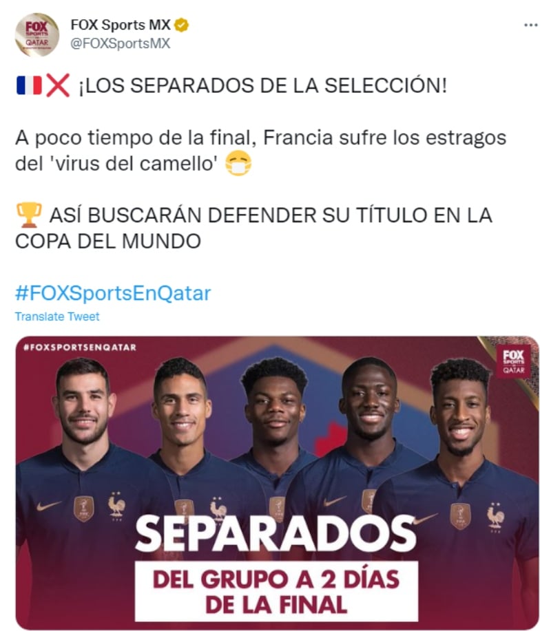 Francia Virus del Camello: ¿Se pierden la final?