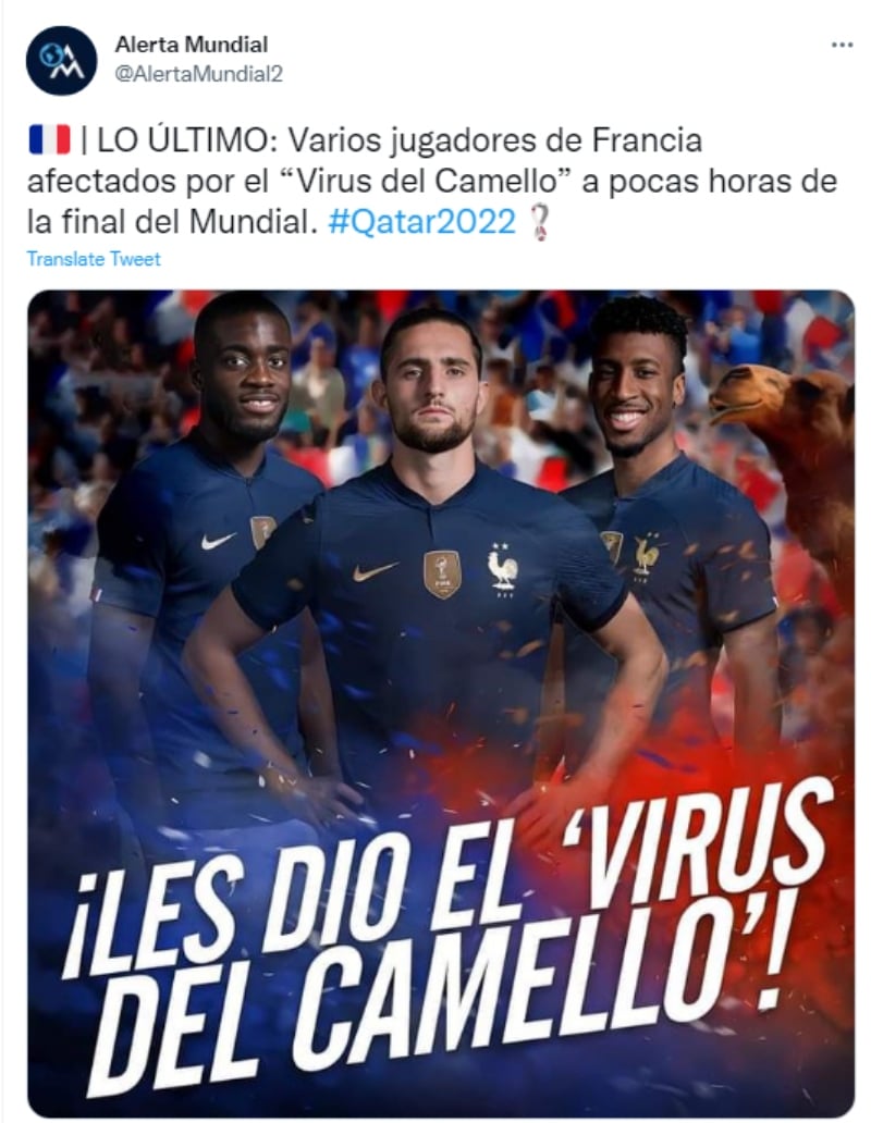 Francia sufre baja de jugadores por Virus del Camello