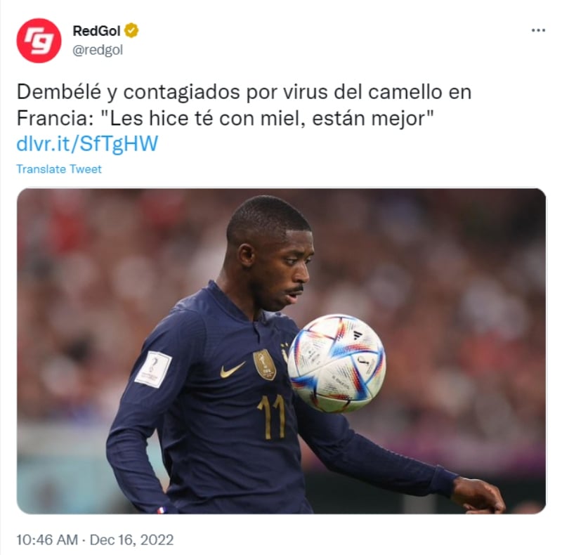 “Les preparé un té con jengibre"