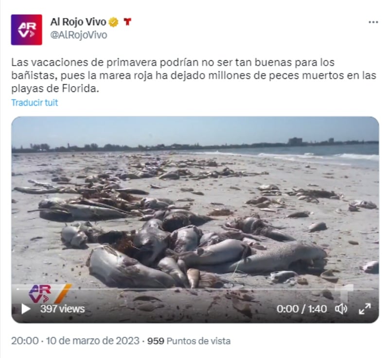 Marea roja en costa de Florida