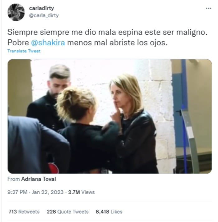 Hijos de Shakira