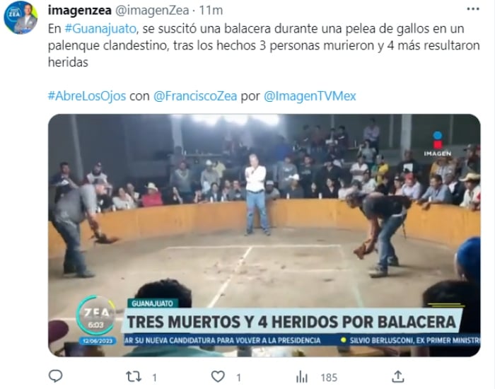 Balacera pelea de gallos en México