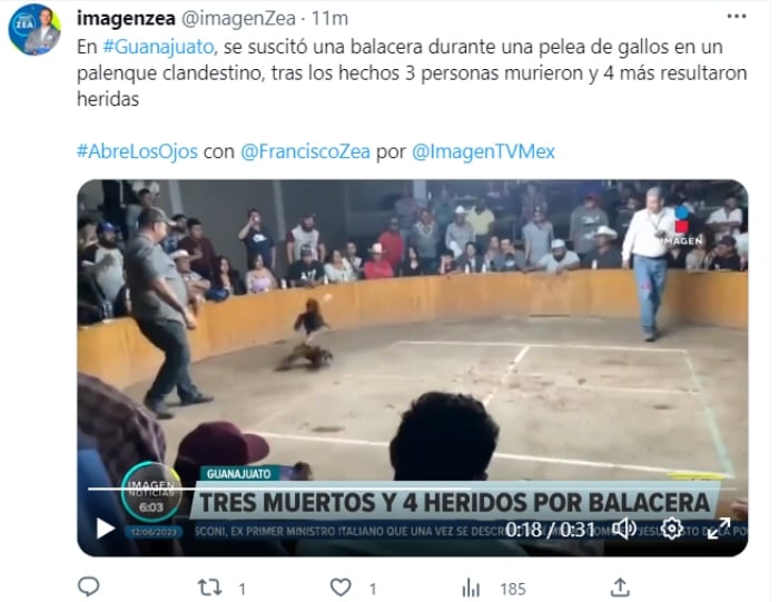 Balacera pelea de gallos en México
