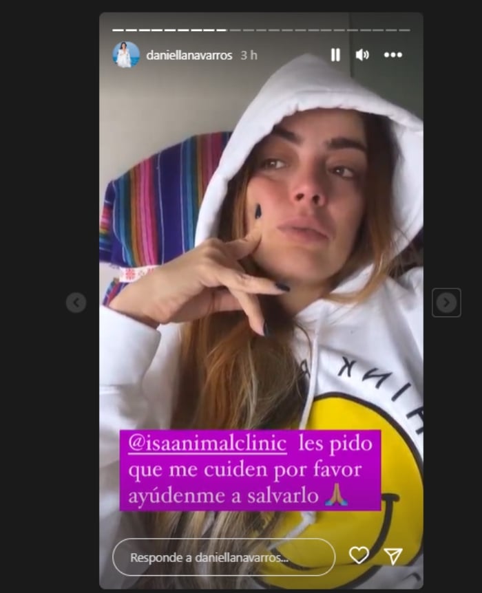 Daniella Navarro revela estar triste